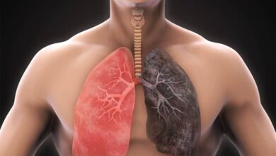 만성 폐쇄성 폐질환(COPD) 시장은 2032년까지 284억 달러에 이를 것으로 예상됩니다.